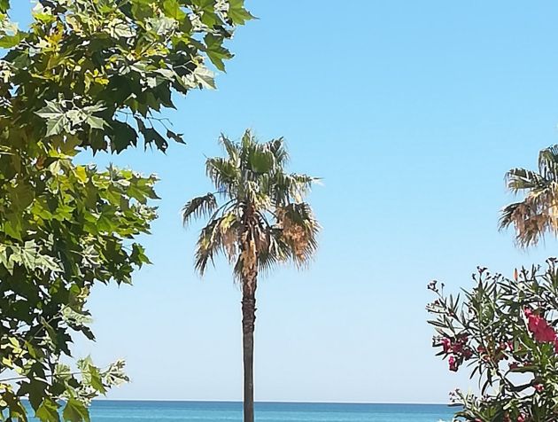 ASSAGGIO D'ESTATE