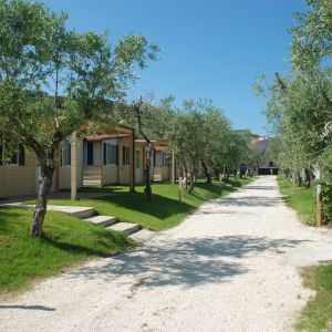 Camping Village Fontana Marina - 1