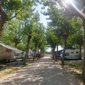 Camping 4 cerchi - 10