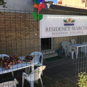 Residence Marche - 5